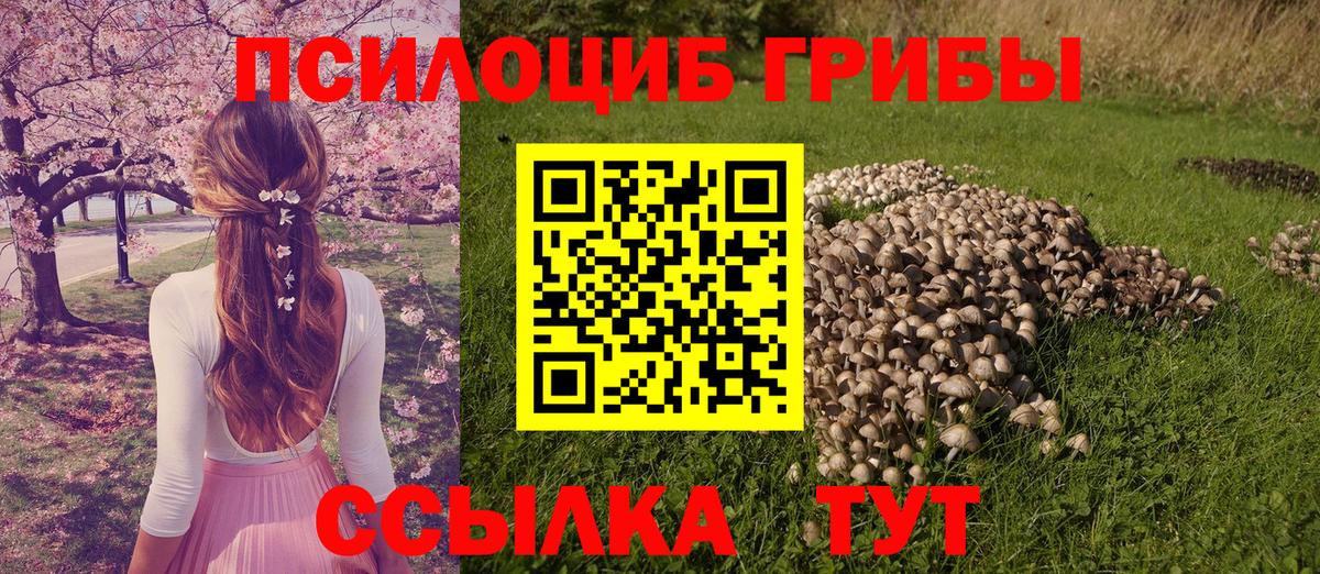 Черкесск  Галлюциногенные грибы MAGIC MUSHROOMS  Вход с VPN  Галлюциногенные грибы Psilocybe 